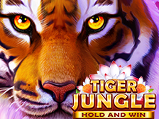 Tiger Jungle Tiger Jungle
